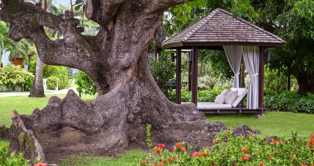 Sandals Halcyon Beach Saint Lucia