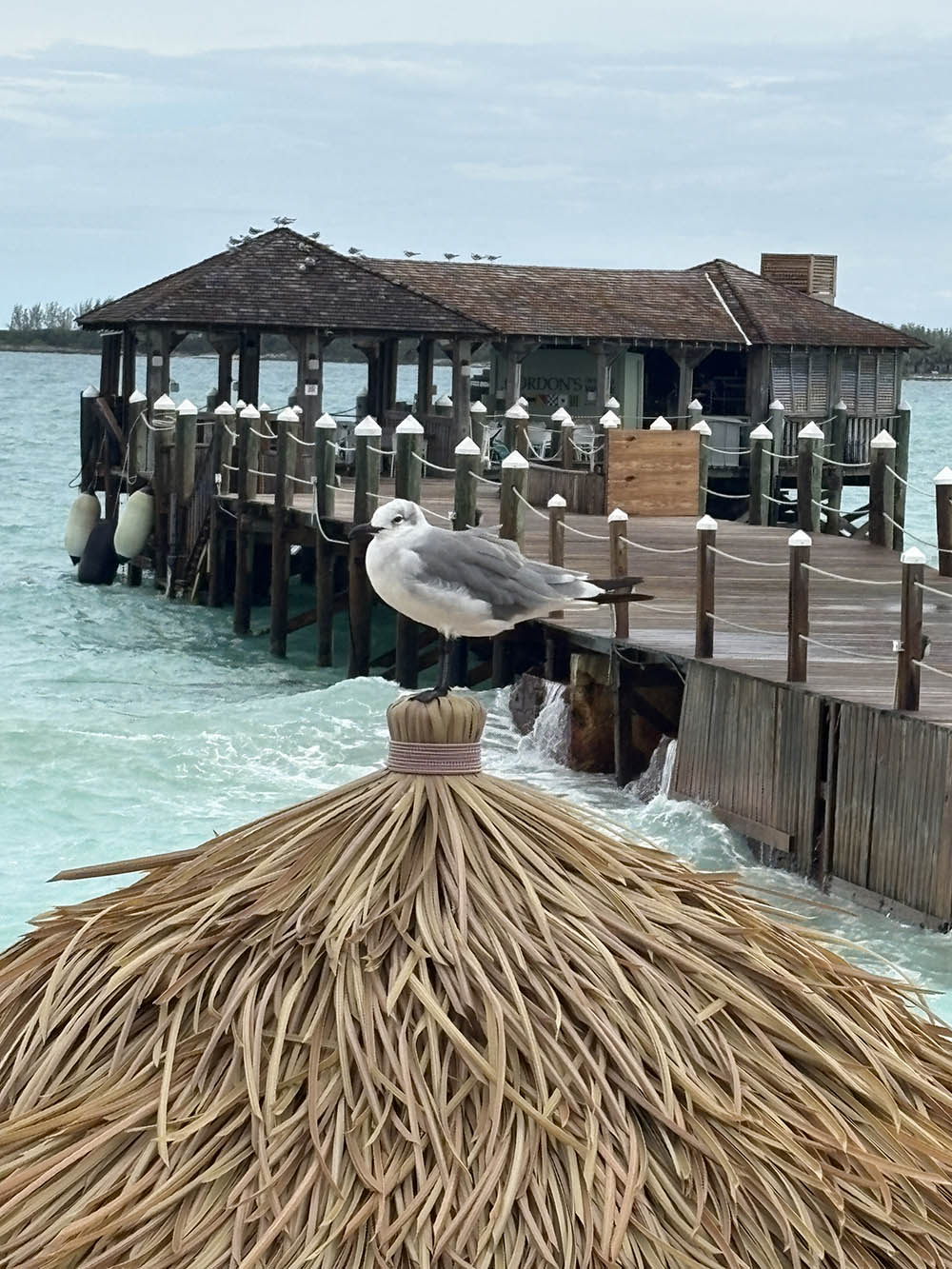 Roger Hunt, the Travel Rooster, Sandals and Beaches Resorts travel advisor at Relaxing Sunset