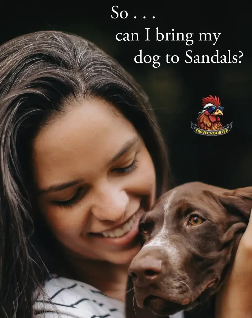 Service Animals and Pet Policy at Sandals and Beaches Resorts - Travel Rooster