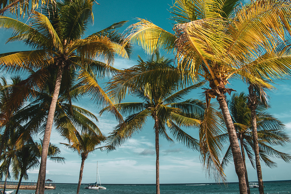 Jamaica May and June: Affordable, Beautiful, and Underrated 