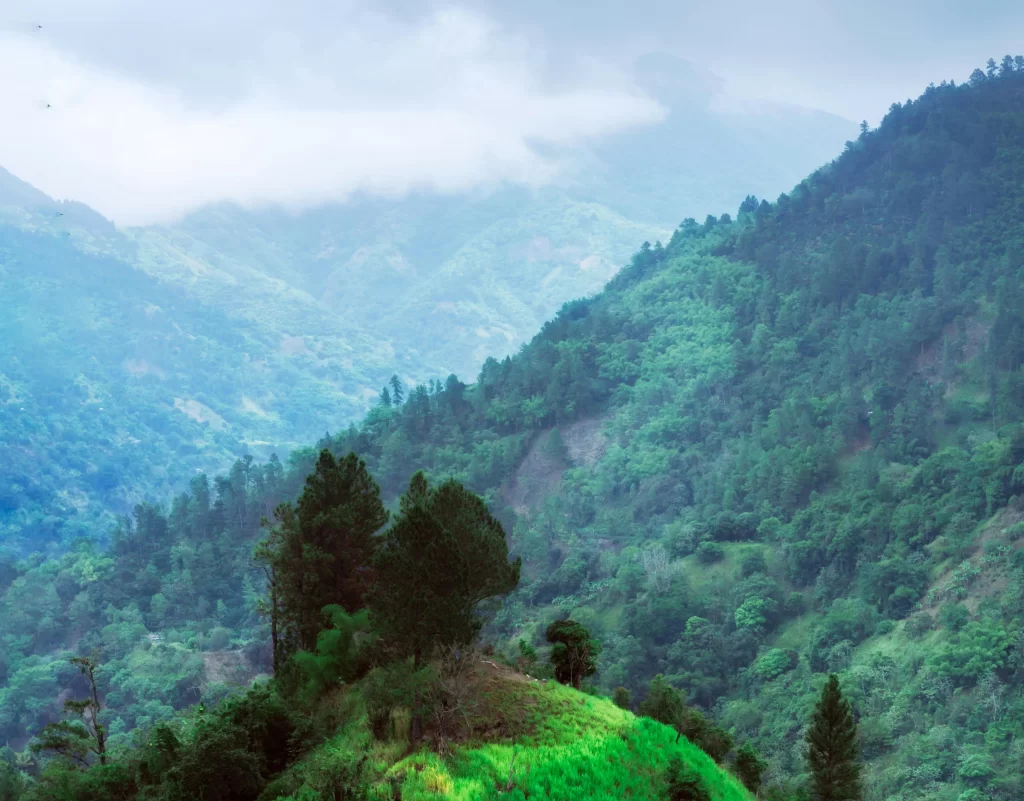 Jamaican Mountains