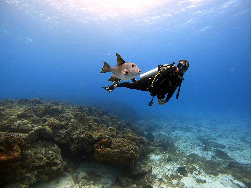 Get Scuba Certified at Sandals Resorts